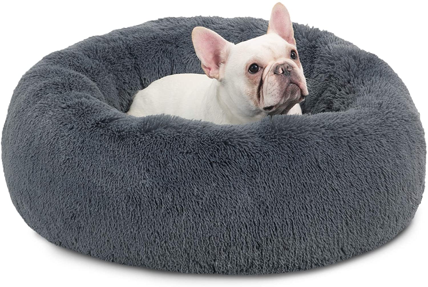 calming dog bed