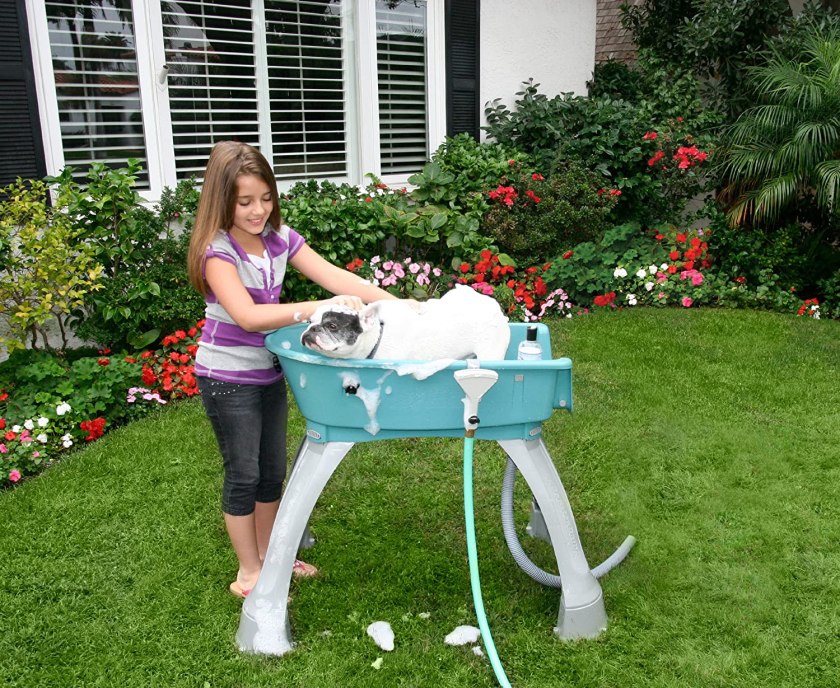 Booster Bath Elevated Pet Tub