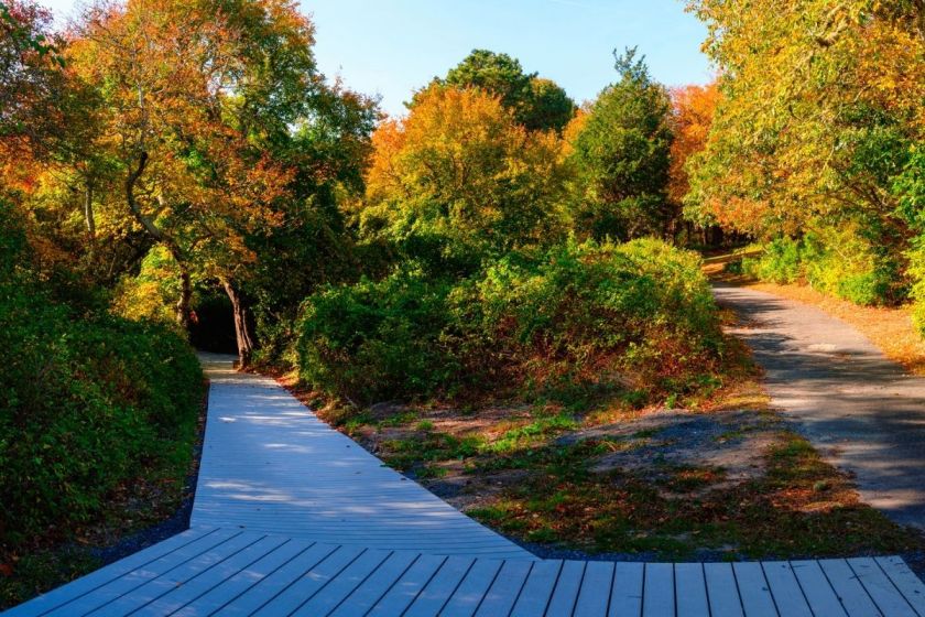 Best Hikes in Massachusetts 15 Hiking Trails to See Peak Fall Foliage