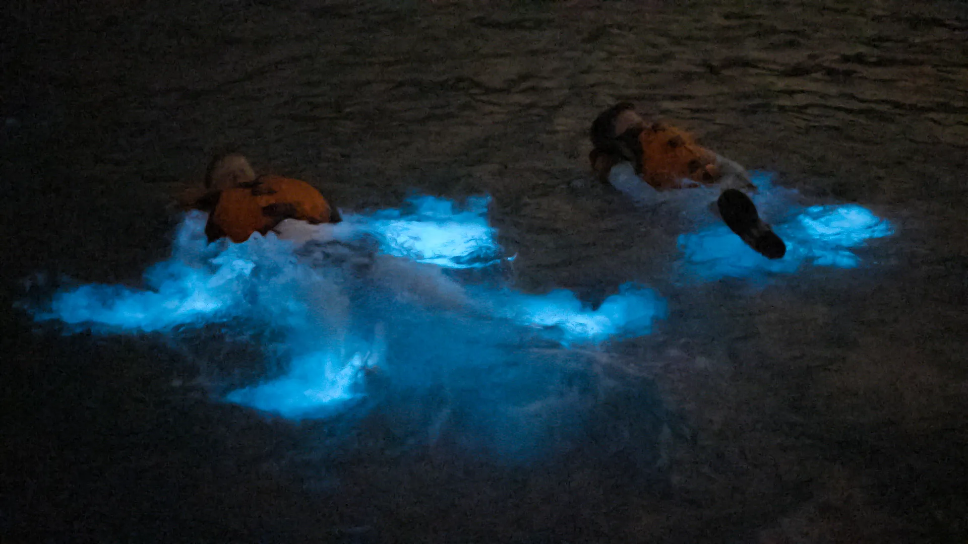 Bioluminescent Bay Puerto Rico