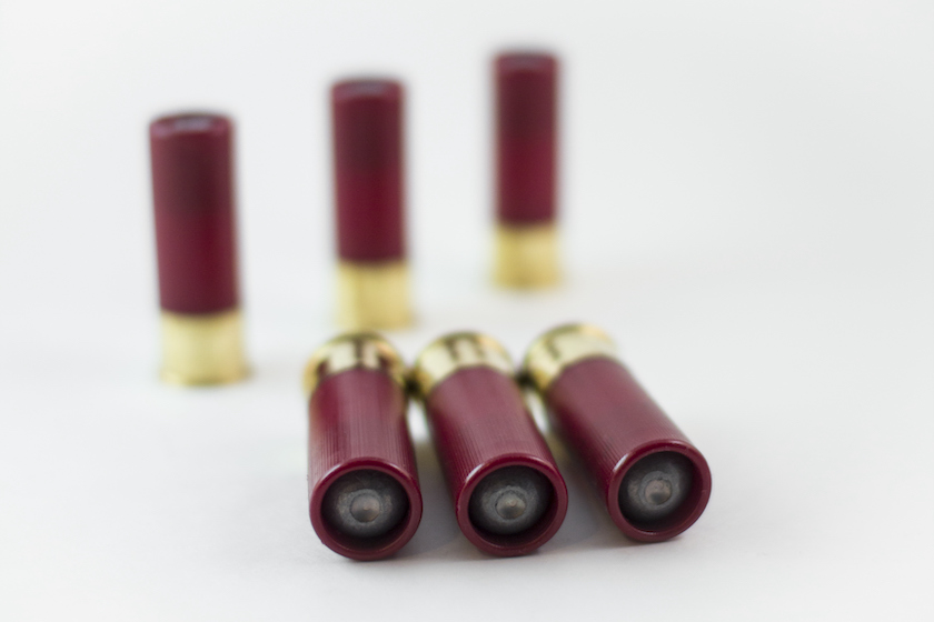 Shotgun Slugs: Different Types and Their Practical Uses