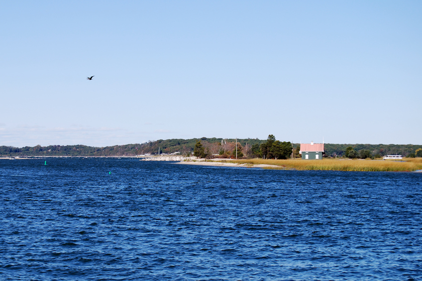 Best Duck Hunting States 10 Premier Waterfowl Destinations