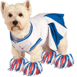 small dog costume