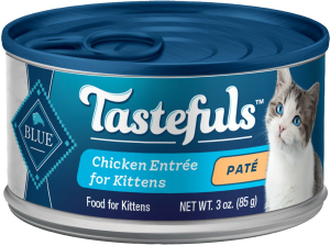 best kitten food