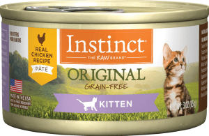 best kitten food