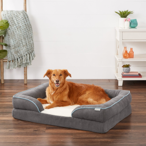 chewy dog beds