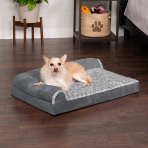 chewy dog beds