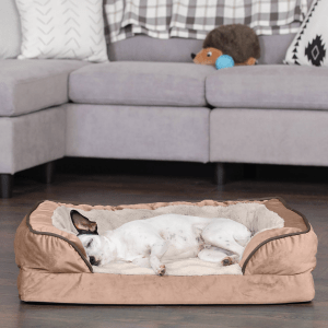 chewy dog beds