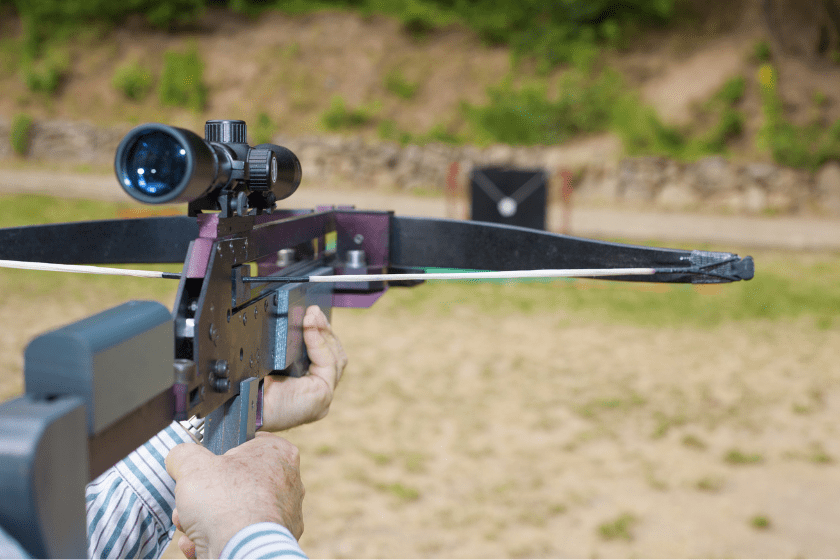 Crossbow Hunting The Pros and Cons of Making the Switch