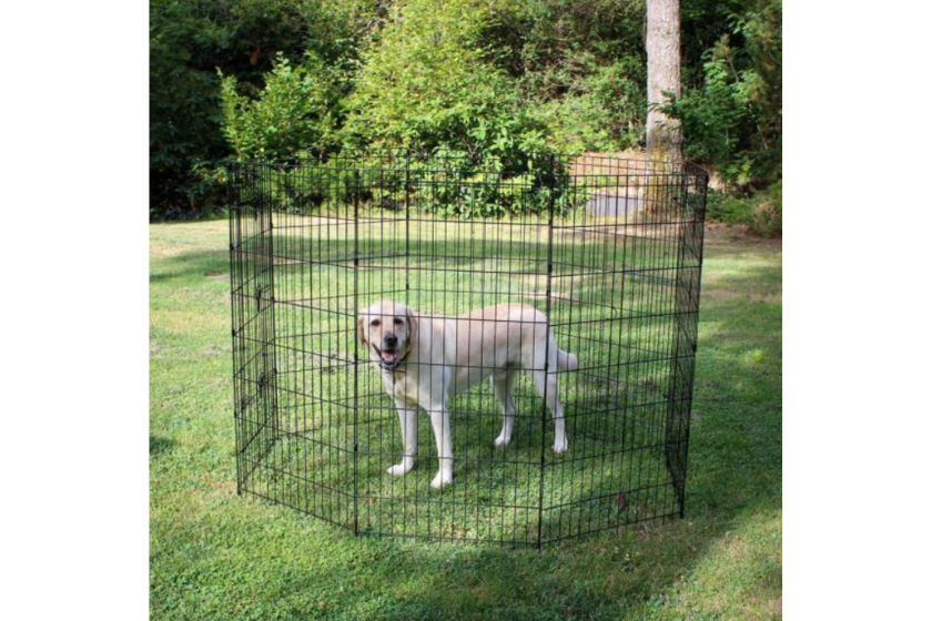 portable dog fence