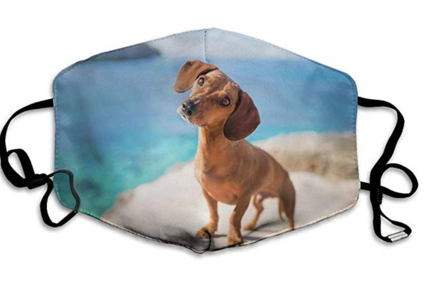 daschund face mask