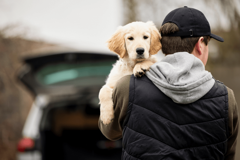 puppy being carried by owner