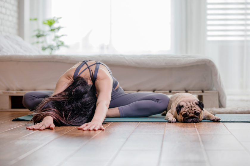 pug doing yoga for pug puns