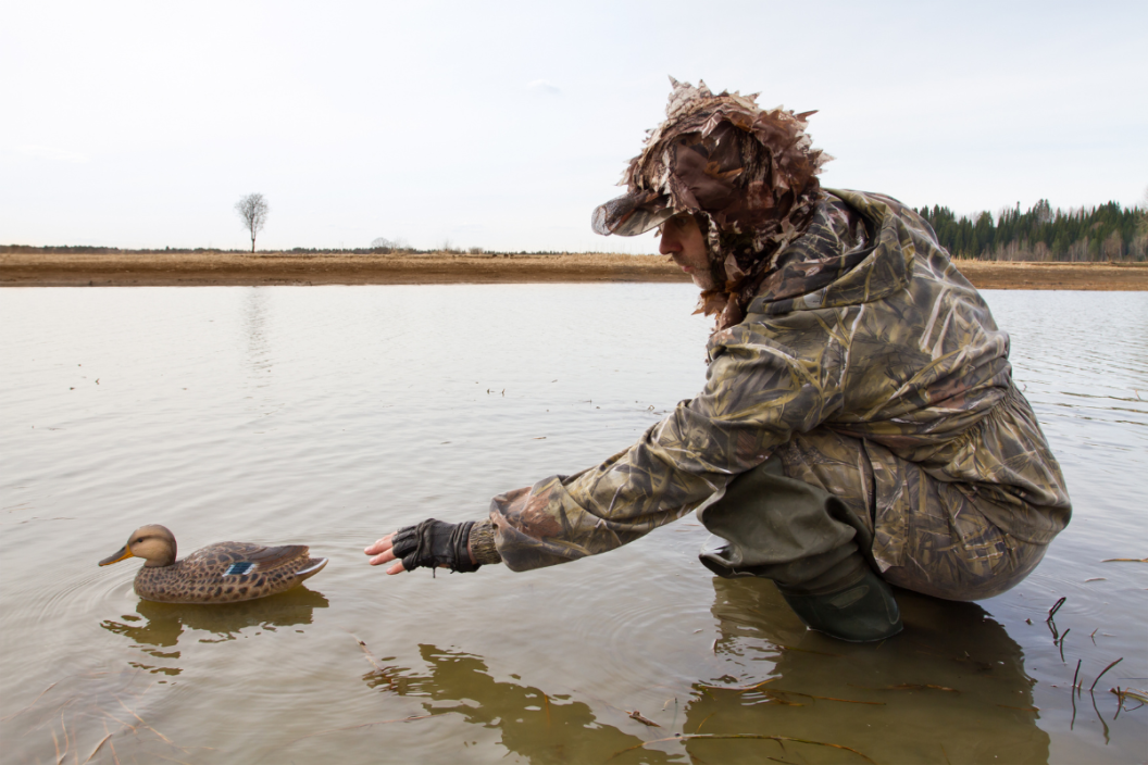 duck decoy spreads