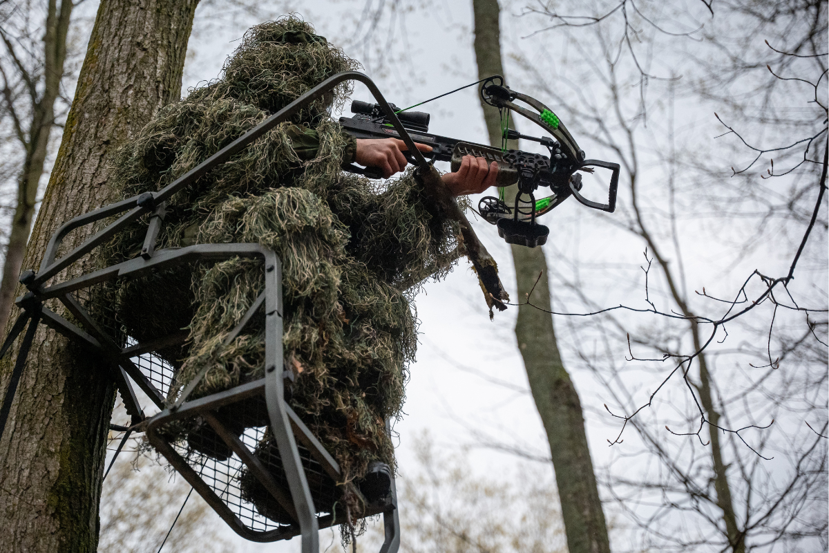 crossbow hunting