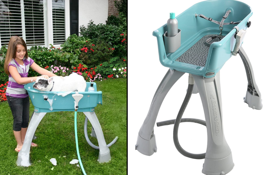 5 Best Dog Bath Tubs of 2022 + Keeping Your Shower Drain Clean