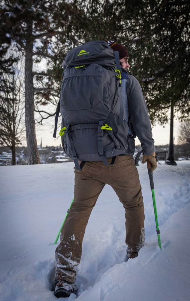 Ozark Trail Himont Backpack