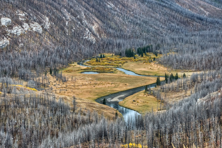 Best Places for Elk Hunting