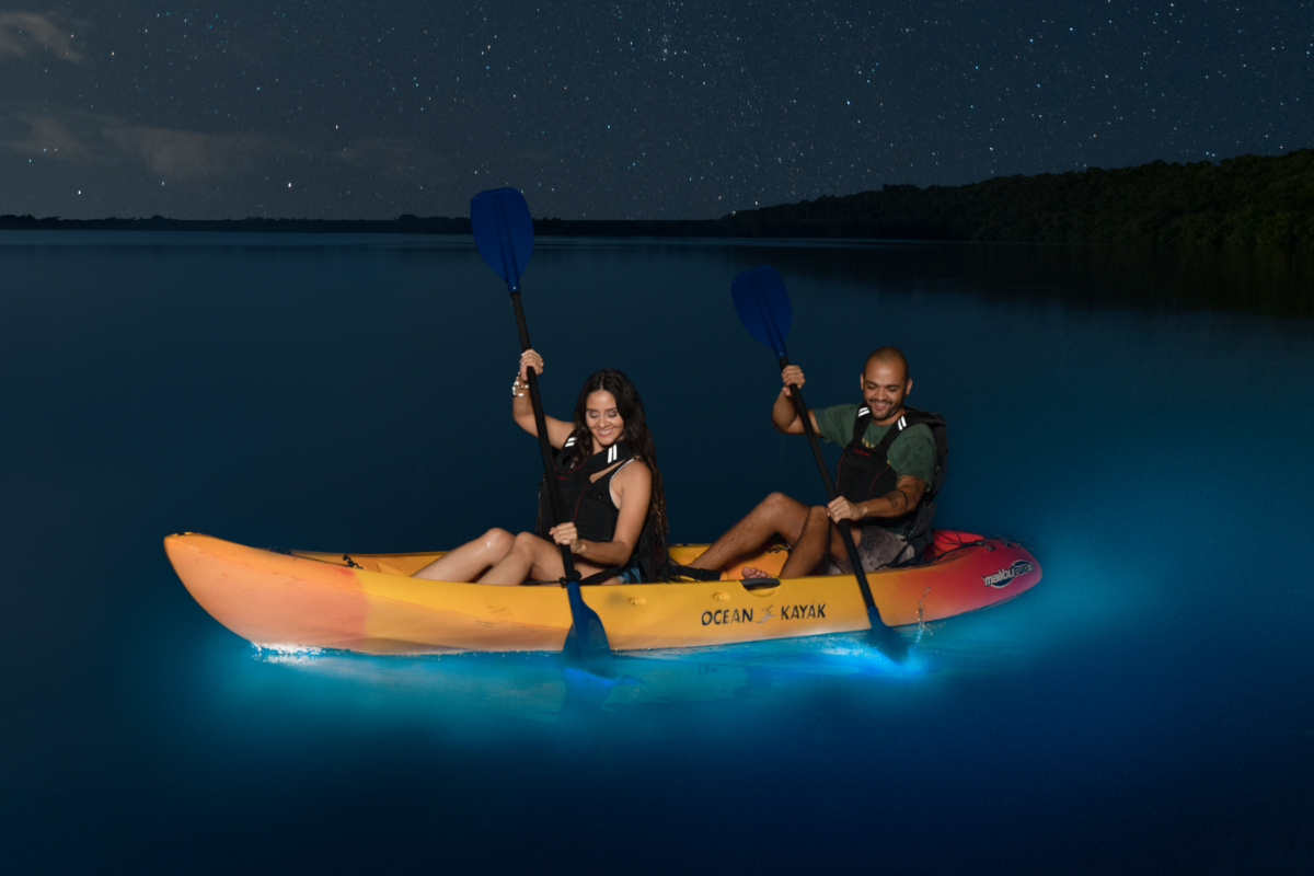 Bioluminescent Bay Puerto Rico