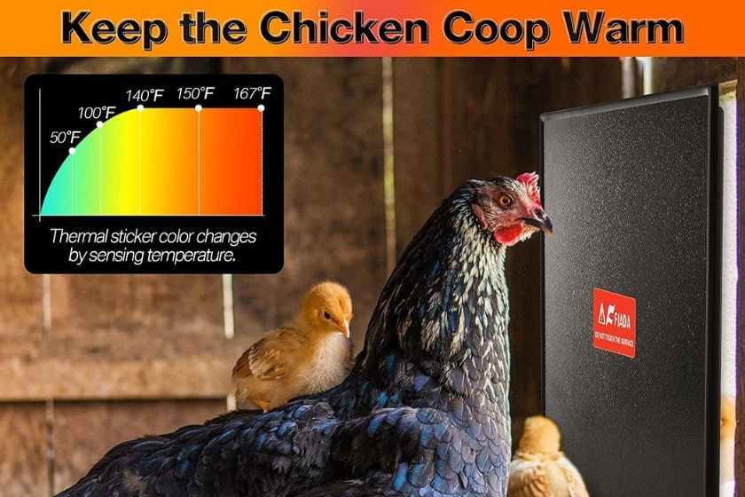 chicken coop heater