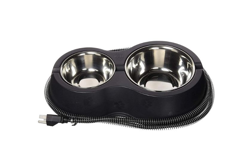 5 Most Safe Heated Water Bowls of 2022 for Cats, Dogs, Rabbits & More