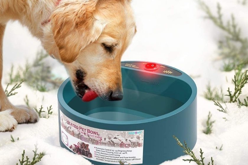 heated water bowls