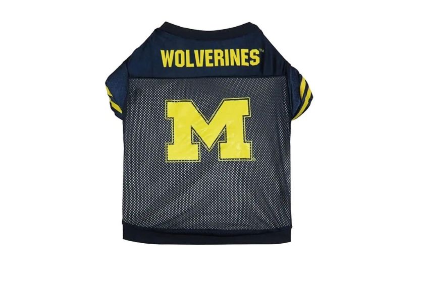 dog football jerseys (michigan wolverines)