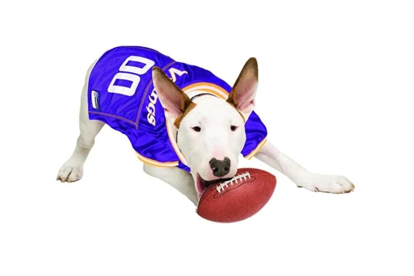 dog football jerseys (vikings)