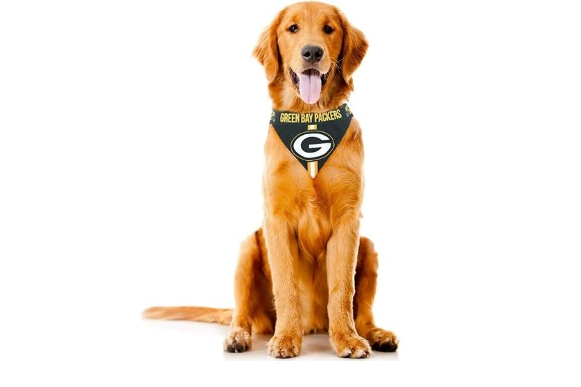 dog football jerseys (packers)