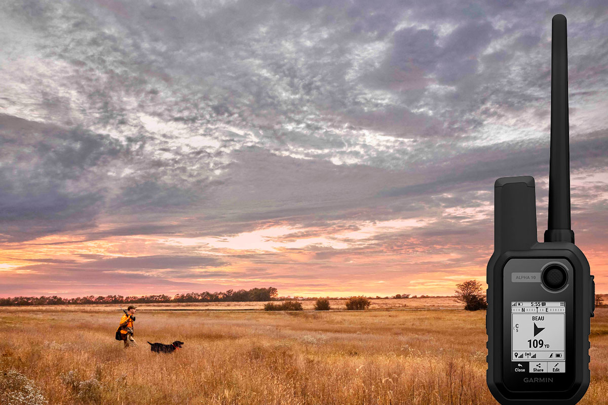 garmin alpha 10