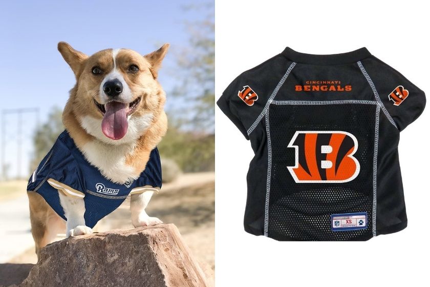 12 Affordable Dog Football Jerseys: Best of 2022 (NFL & College)