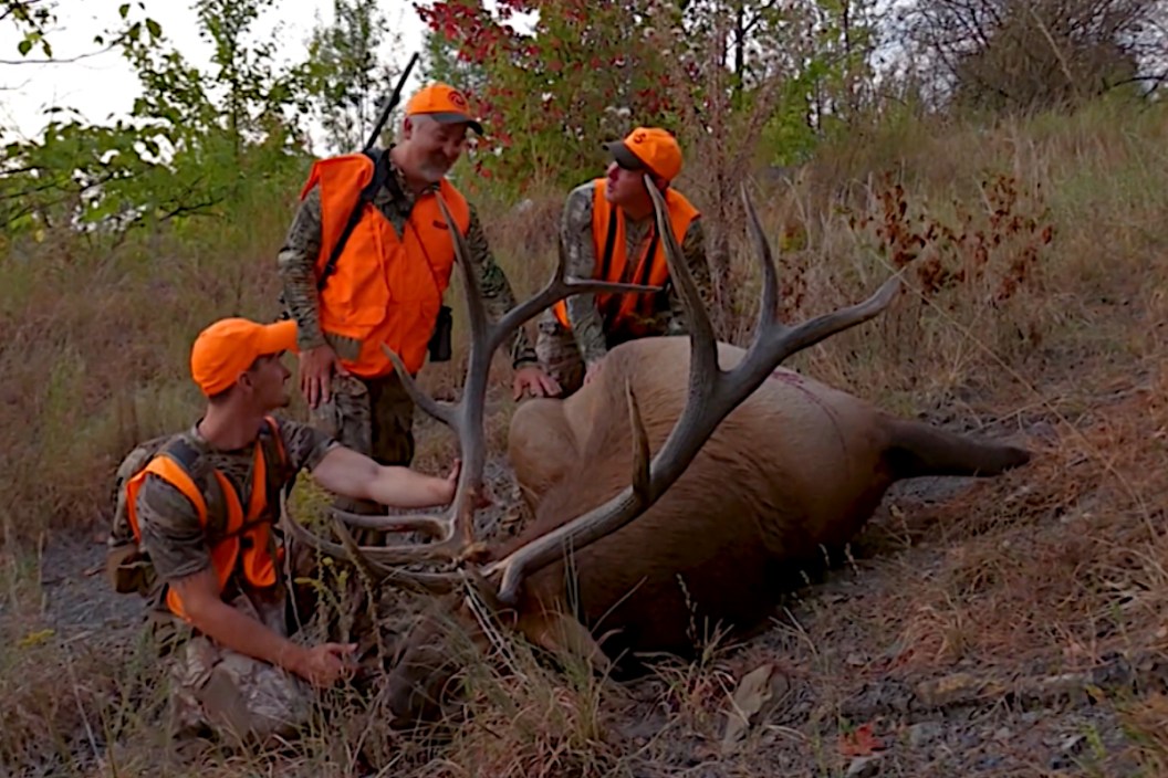 Kentucky Elk Hunting