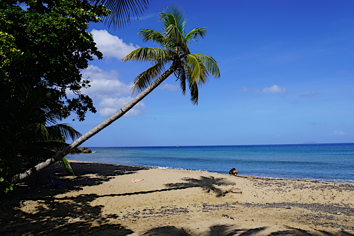 Things to Do in Puerto Rico