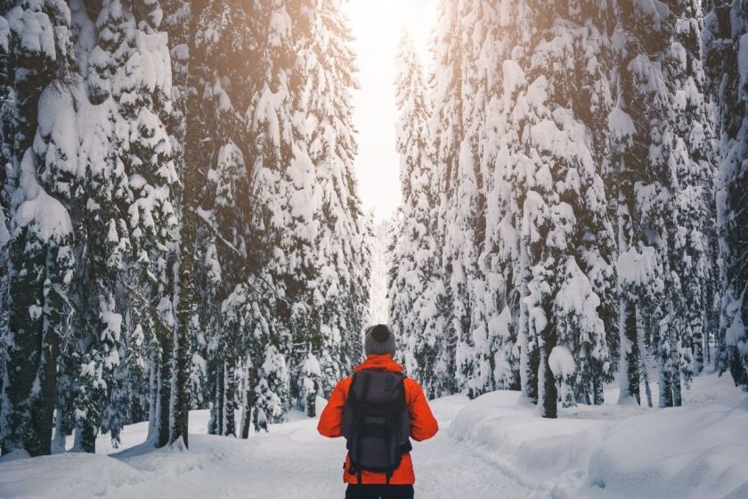 7 Most Comfy Men's Winter Hats of 2021 for Hunting, Work, & More Wide