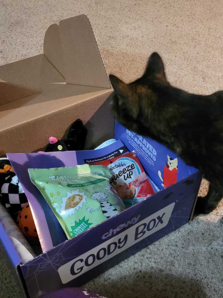 Halloween goodie box