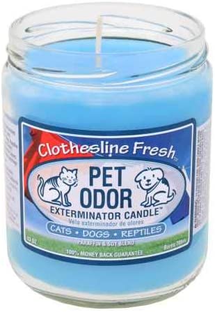  Pet Odor Exterminator Candle