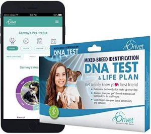 pet dna tests