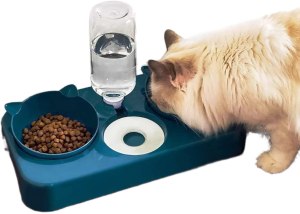 best pet bowls and feeders