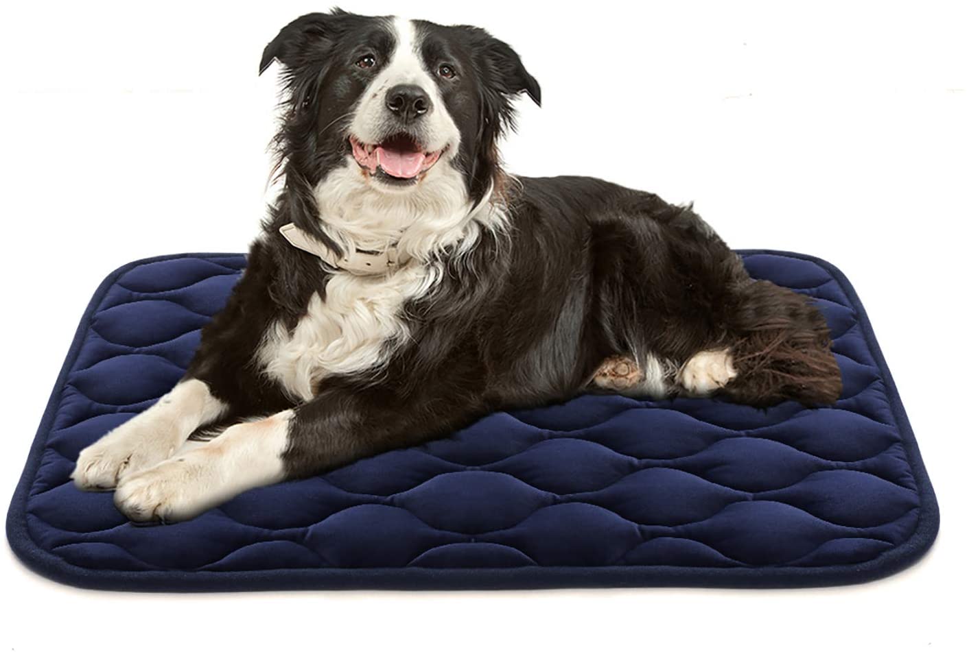 cushion for dog crate