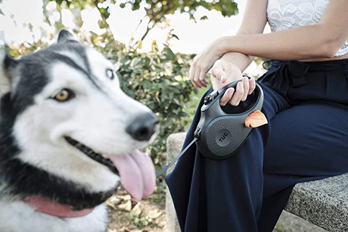 6 of the Best Retractable Dog Leashes