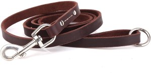 leather dog leashes