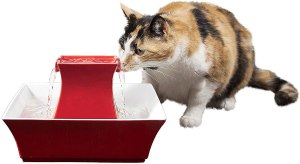 best pet bowls and feeders