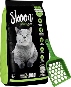 best cat litter