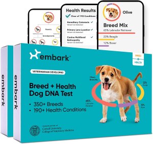 pet dna tests