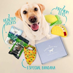 best cat and dog subscription boxes