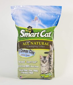 best cat litter