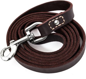 leather dog leashes