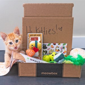 best cat and dog subscription boxes