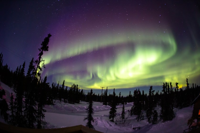 Beautiful aurora borealis in Fairbanks, Alaska