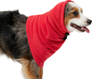 pet jackets